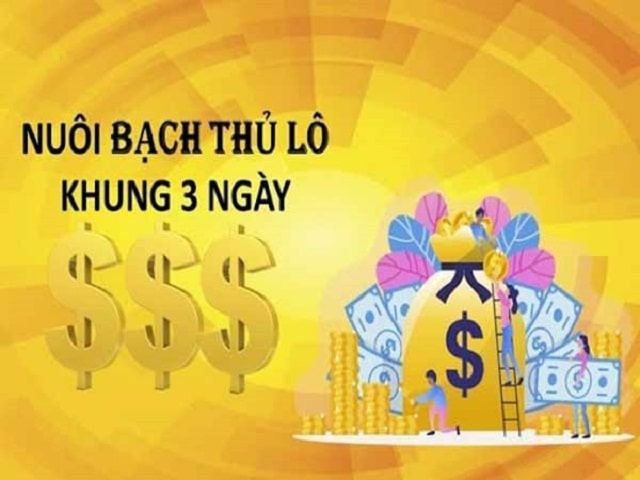 Nuôi lô bạch thủ 247 khung 3 ngày